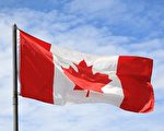 加拿大驻华大使访新疆 对人权状况表担忧
