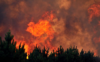 法国渡假注意防森林火灾和自救
