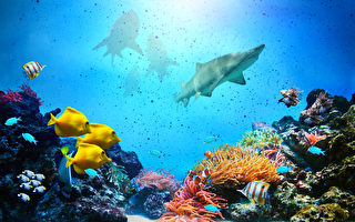 组图：探索9座绝美海底世界