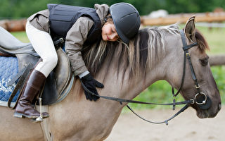 研究首次發現 馬能看懂人類的表情