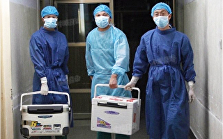 中国医生器官移植手术“成瘾”的谜思