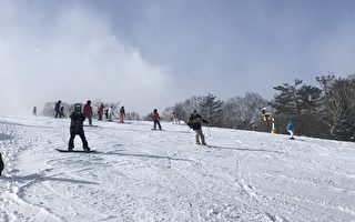 組圖：日本東北遊之四  安比高原滑雪場