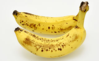 香蕉长斑点时 抗氧化作用增强 酵素增多 更利人体吸收
