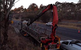 卡车司机忘收吊臂 撞坏悉尼M4高速路天桥