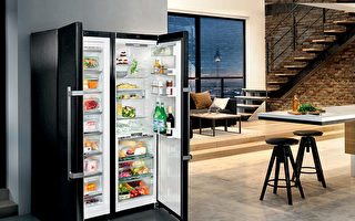 德国制冰箱，就是不一样！