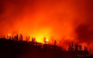 加州大火烟飘到新州 气象局称地面空气不受影响