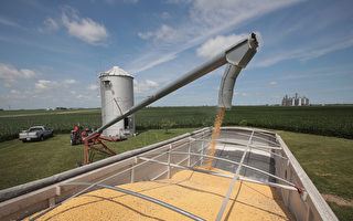 谈判前夕 中方将对新购美国农产品豁免关税
