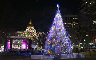 波士顿2023圣诞树亮灯庆典一览