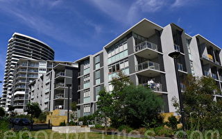 增加住房 维州低价出售公寓设计方案