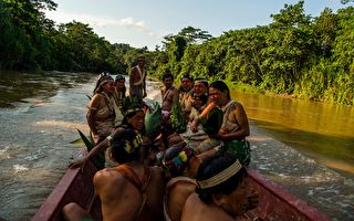 亚马逊部落告赢政府 救回300万亩热带雨林