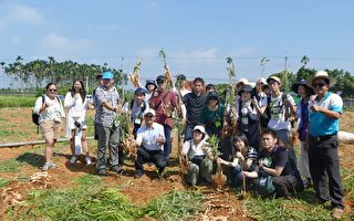 東京農業大學參訪名間 學習熱帶農業