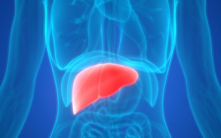 脂肪肝成慢性肝病首位 4種方法防治
