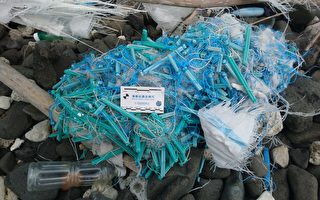 台第一本廢棄漁具圖鑑 籲政府管理廢棄漁具