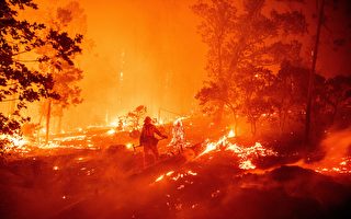 南加州大火波及7000英亩 竟由一场派对酿祸