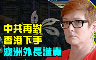 【澳洲新闻热点11.12】中共再对香港下手 澳洲外长谴责