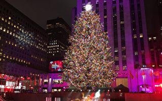 纽约洛克菲勒圣诞树周三点亮　现场观看限制多