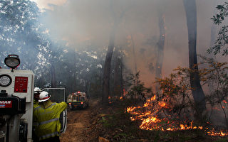 消防局减灾烧荒 悉尼周末将出现烟雾天
