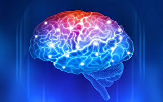 科学家找到认知力时钟 可准确衡量大脑健康水平