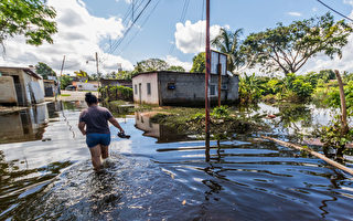 委内瑞拉洪水 至少十三人遇难