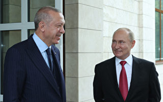 土耳其总统和普京通话促停火 莫斯科提条件