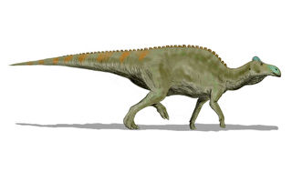 罕見「恐龍木乃伊」身上驚見遠古鱷魚咬痕