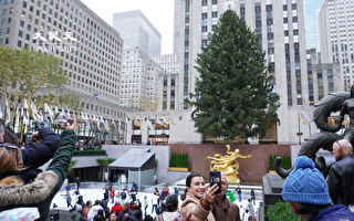 争睹25米圣诞树 纽约游客潮现洛克菲勒中心