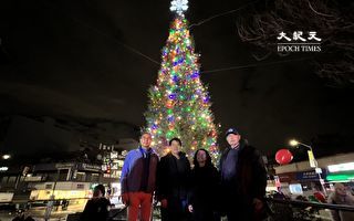 延續22年傳統 紐約法拉盛節日樹點燈