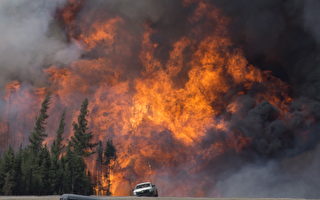 亚省山火蔓延 进入紧急状态 2.4万居民撤离