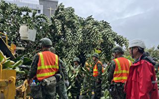 海葵台风造成台东市路树倾倒 国军协助清理