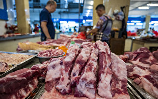 两因素导致供过于求 中国猪肉价格暴跌