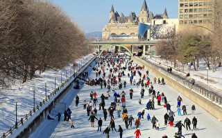 世界最大户外滑冰场 里多运河滑冰场1月底开放